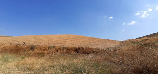 Cascina Strada Vicinale del Melledra Farnesiana, Campagna, Tarquinia