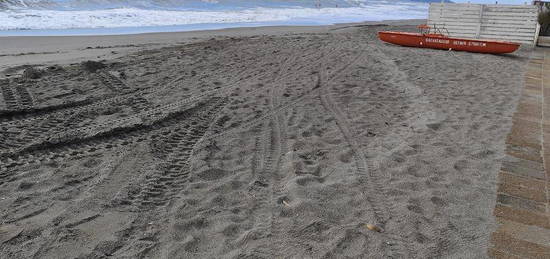 Vendita bilocale ultima spiaggia Capalbio