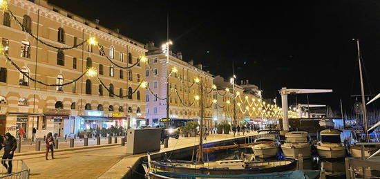 Location annuelle vieux port