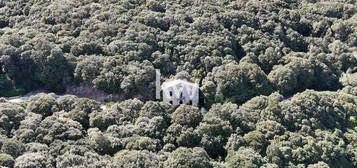 À vendre - Maison de Maître à rénover dans un cadre naturel