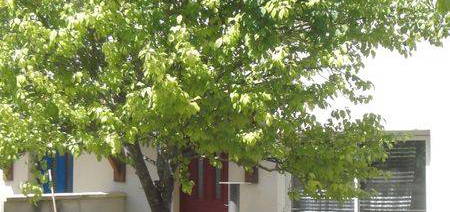 MAISON T3 avec jardinet et terrasse, garage