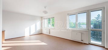 Pronájem bytu 1+kk 42 m²