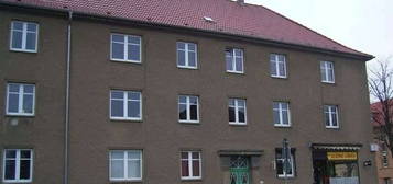 3 -Raumwohnung in der südlichen Mühlenvorstadt