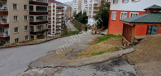 TRABZON BOZTEPE'DE KRALIK DARE