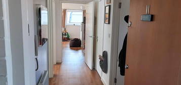 2 bed flat to rent