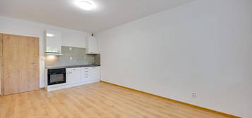 Pronájem bytu 1+kk 46 m²