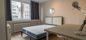 Magnifique chambre colocation - Plein de centre de Lille