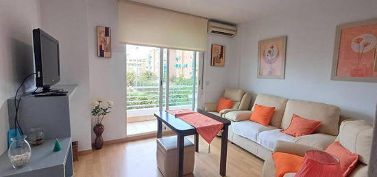 Apartamento de alquiler en Calle Torre Pedro de Morales, 10, Castaño - Mirasierra