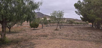 Chalet en El Fondo de les Neus-El Hondon de las Nieves