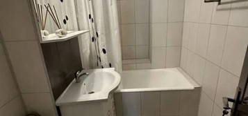 Inchiriere Apartament 3 camere Theodor Pallady