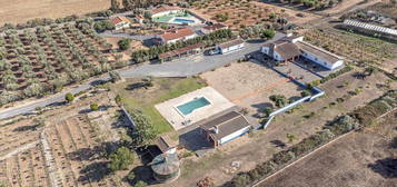 Quinta com piscina em Ferreira do Alentejo