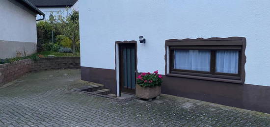 Gemütliche 1 Zi. Wohnung mit Küche, Bad mit Dusche, Garage, Terrasse