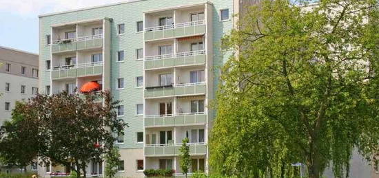 Schöne helle 2-Raumwohnung mit Nähe zum Bördepark