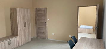 Pronájem, Byt 1+1, 32m2, Zlechov