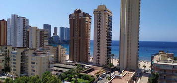 Estudio en Playa de Levante, Benidorm