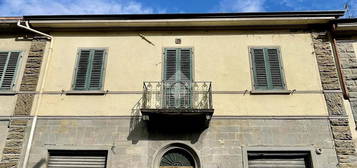 PALAZZO A BORGO SAN LORENZO