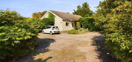 Semi-detached bungalow for sale in Pant Du Road, Eryrys, Mold CH7