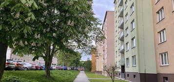 Prodej bytu 3+1/L, OV, 76 m2, ulice Vodárenská, Karlovy Vary