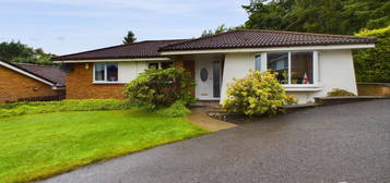 Detached bungalow to rent in Beardwood Park, Blackburn BB2