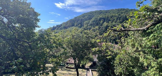 Bauplatz mit toller Aussicht,  Hausbestand und großen Garten