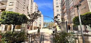 Alquiler de Piso en calle Félix Rodríguez de la Fuente, 3