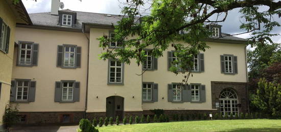 2 Zimmer Wohnung im historischen Palais in Lich