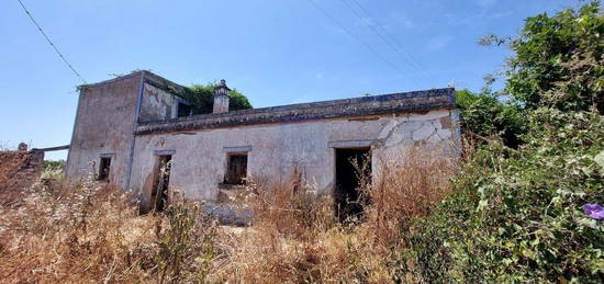 Quintinha com 1,3 hectares