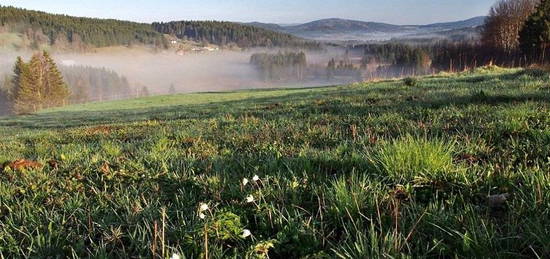 České Žleby, stavební pozemek prodej