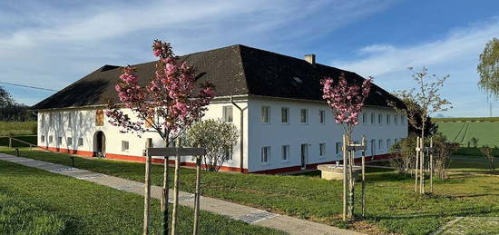 Große Familienwohnung im (ehemaligen Bauernhof) mit Garten