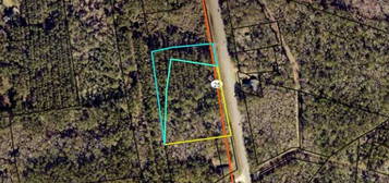 V/L Cornelia Armstrong Tract 1 & @, Woodbine, GA 31569