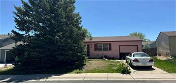 10024 Holland Ct, Westminster, CO 80021