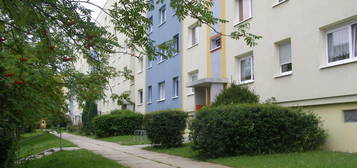 Gemütliches Appartement im Grünen