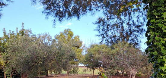 Alquiler de  Casa rural en  morisco, 7