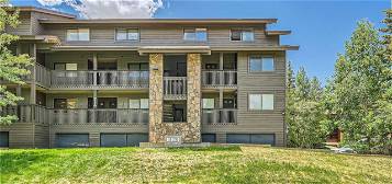 755 S 5th Ave #214, Frisco, CO 80443