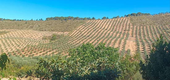 Finca rústica en venta en Archidona