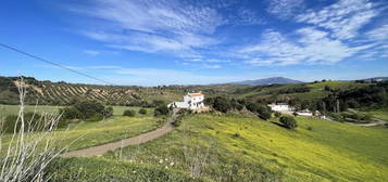 Finca rústica en venta en Caiuc, Casarabonela