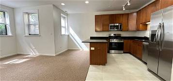 4849 N Christiana Ave Unit 4851-G, Chicago, IL 60625