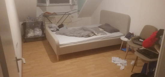 Metzingen/Riederich schöne angenehme 30m^2 1-Zimmer Wohnung