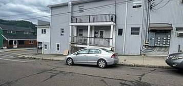 1 W Garibaldi Ave APT 5, Nesquehoning, PA 18240