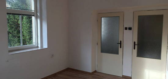 Pronájem bytu 1+1 35 m² (Jednopodlažní)