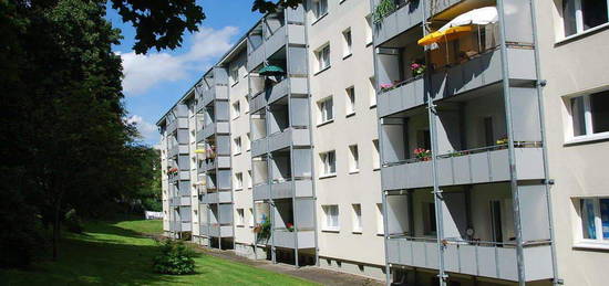 2-Raum-Wohnung mit Balkon nahe Stadtpark