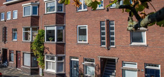 Vlierboomstraat 243