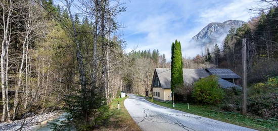 Idyllische Alleinlage im Wandergebiet Zell-Koschuta.