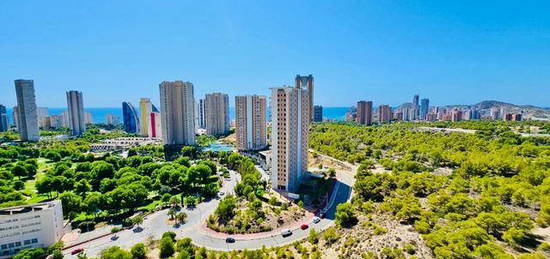 Poniente - Calle Pdte. Adolfo Suárez