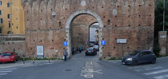 Monolocale piazza di Ovile 29, Ovile - San Francesco, Siena