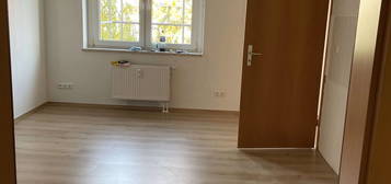 Renovierte 2 Zimmer Wohnung - Tichatscheckstraße 40c, 01139 Dresden