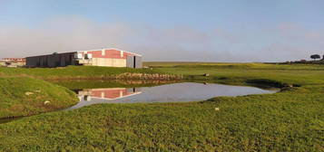 Finca rústica en venta en Brozas