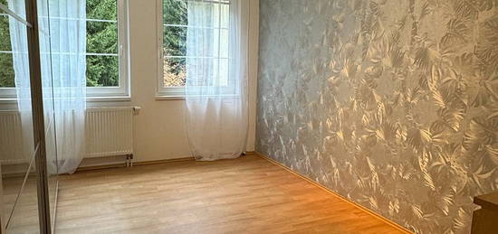 Pronájem bytu 2+1 65 m²