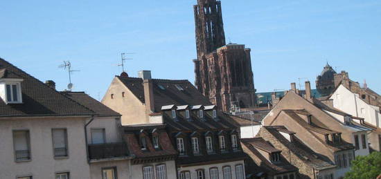 Lumineux appartement Strasbourg Centre ville