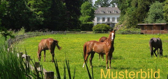 Reitanlage mit Wohnhaus und viel Potenzial im Großraum Düsseldorf